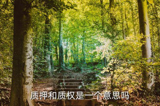質(zhì)押和質(zhì)權(quán)是一個(gè)意思嗎