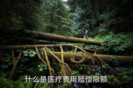 賠償限額，每次事故賠償限額