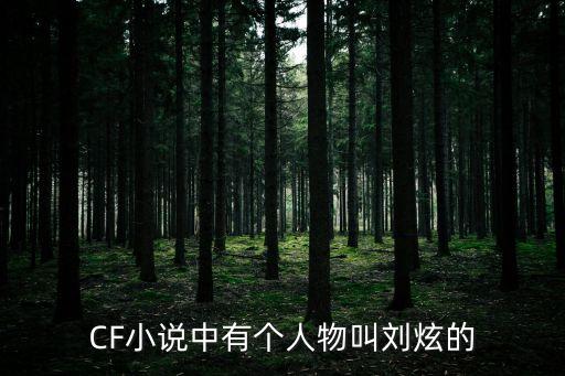 劉炫，CF小說(shuō)中有個(gè)人物叫劉炫的