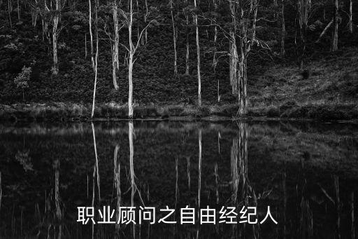 自由經(jīng)紀(jì)人，置業(yè)顧問之自由經(jīng)紀(jì)人