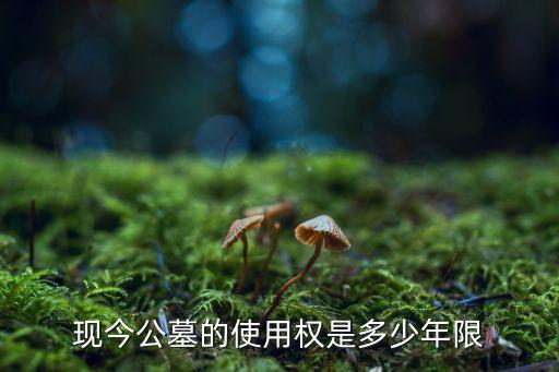 墓地多少年產(chǎn)權(quán)，現(xiàn)今公墓的使用權(quán)是多少年限