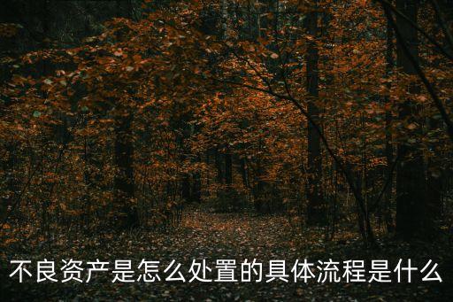 不良資產(chǎn)是怎么處置的具體流程是什么
