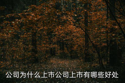 企業(yè)上市的好處，公司為什么上市公司上市有哪些好處