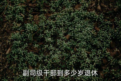 副司級(jí)干部到多少歲退休