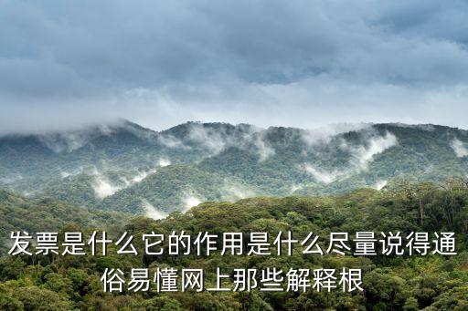 發(fā)票是什么它的作用是什么盡量說得通俗易懂網(wǎng)上那些解釋根