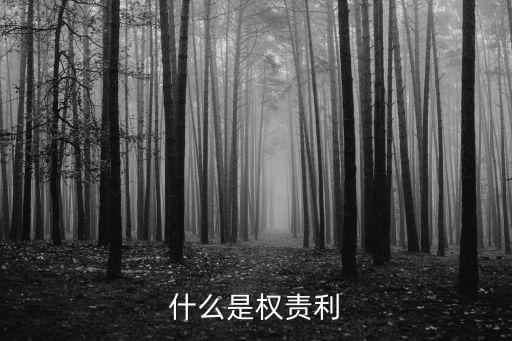 責(zé)權(quán)利，責(zé)權(quán)利是什么詞語的簡稱