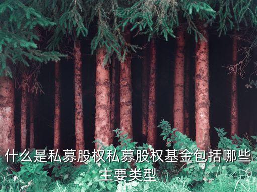 私募股票，什么是私募股能不能做