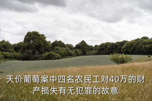 天價葡萄案中四名農(nóng)民工對40萬的財產(chǎn)損失有無犯罪的故意