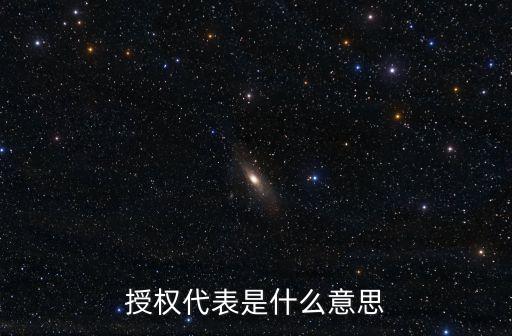 授權代表，授權代表是指授權人還是被授權人