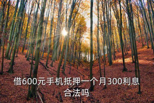 手機(jī)抵押，手機(jī)可以抵押嗎 我急用錢啊想拿我的手機(jī)抵押等發(fā)工資在拿回