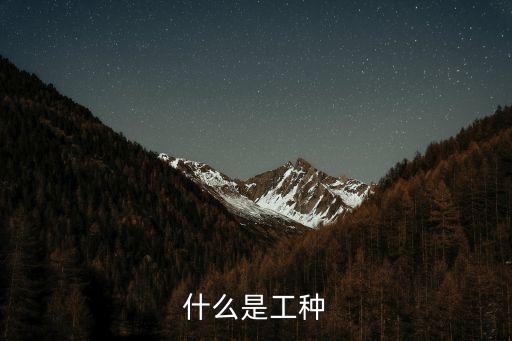 工種，什么是工種