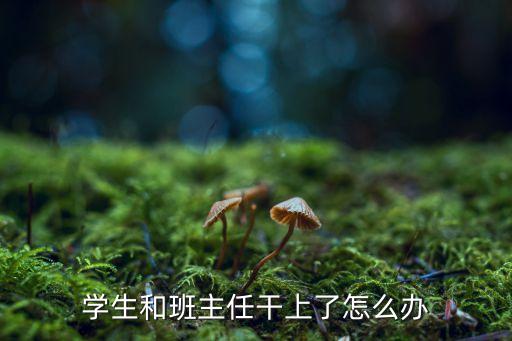 學生和班主任干上了怎么辦