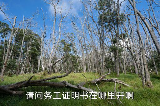 務(wù)工證明怎么開，勞務(wù)證明怎樣辦理