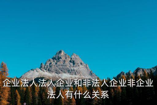 企業(yè)法人法人企業(yè)和非法人企業(yè)非企業(yè)法人有什么關(guān)系