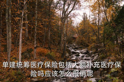 單建統(tǒng)籌，單建統(tǒng)籌醫(yī)療保險包括大額補充醫(yī)療保險嗎應(yīng)該怎么報銷呢