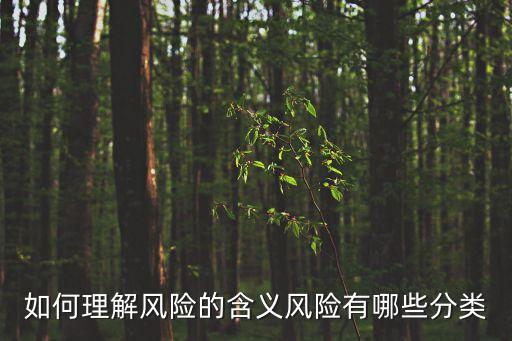 如何理解風(fēng)險(xiǎn)的含義風(fēng)險(xiǎn)有哪些分類