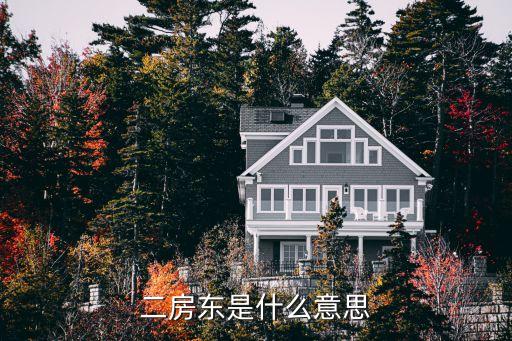 二房東是什么意思