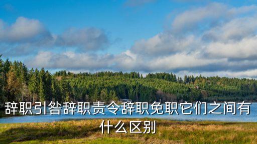 責(zé)令辭職，被責(zé)令辭職的干部可以重新任命嗎