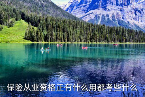 保險(xiǎn)從業(yè)資格正有什么用都考些什么
