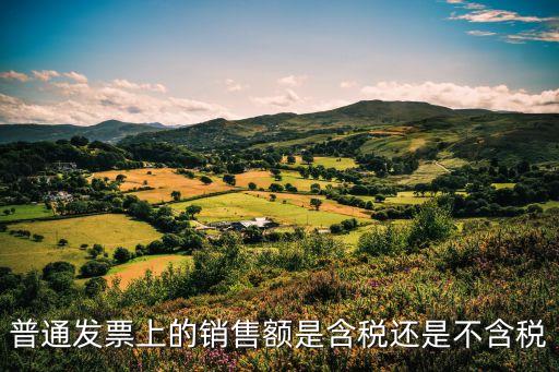 銷售額是含稅還是不含稅，銷售收入一般是報(bào)含稅還是不含稅