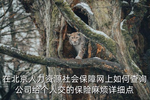 在北京人力資源社會保障網(wǎng)上如何查詢公司給個人交的保險麻煩詳細(xì)點