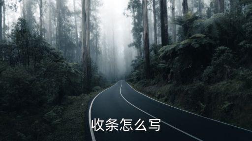 收條格式，收條的 樣式