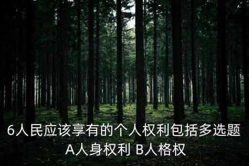 人民權(quán)利，6人民應(yīng)該享有的個人權(quán)利包括多選題 A人身權(quán)利 B人格權(quán)