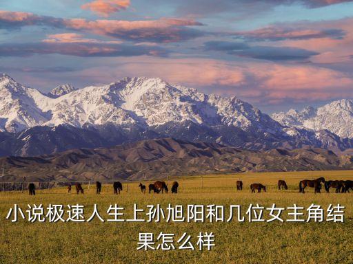 小說極速人生上孫旭陽和幾位女主角結(jié)果怎么樣