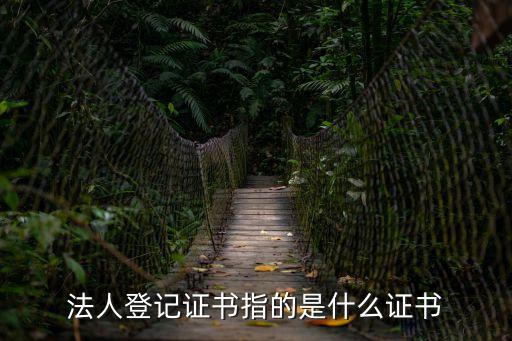 法人登記證書指的是什么證書