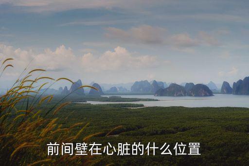 前間壁，請(qǐng)有關(guān)人士解答前間壁心肌梗死心電圖解析