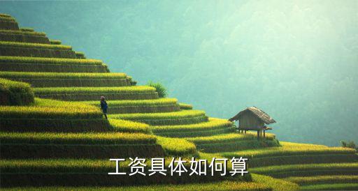 工資怎么計(jì)算，工資應(yīng)該怎樣算