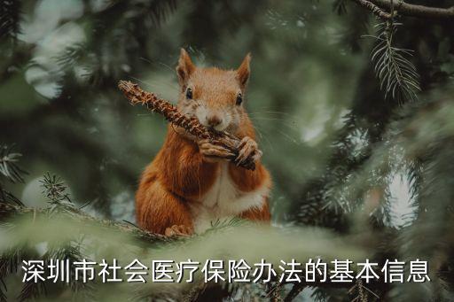深圳市社會(huì)醫(yī)療保險(xiǎn)辦法的基本信息