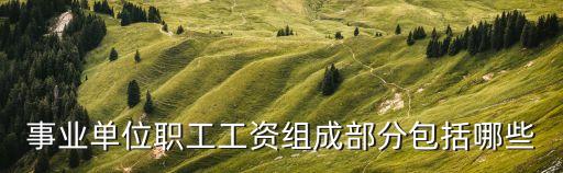 事業(yè)單位職工工資組成部分包括哪些