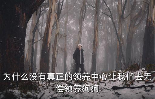 為什么沒(méi)有真正的領(lǐng)養(yǎng)中心讓我們?nèi)o(wú)償領(lǐng)養(yǎng)狗狗