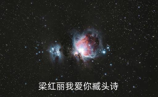 梁紅麗我愛(ài)你臧頭詩(shī)