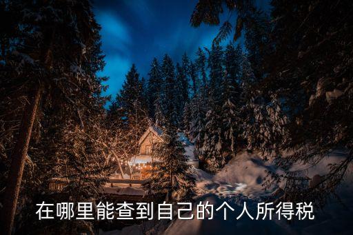 個(gè)稅怎么查，個(gè)人所得稅查詢