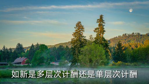 如新是多層次計(jì)酬還是單層次計(jì)酬