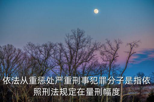 依法從重懲處嚴(yán)重刑事犯罪分子是指依照刑法規(guī)定在量刑幅度