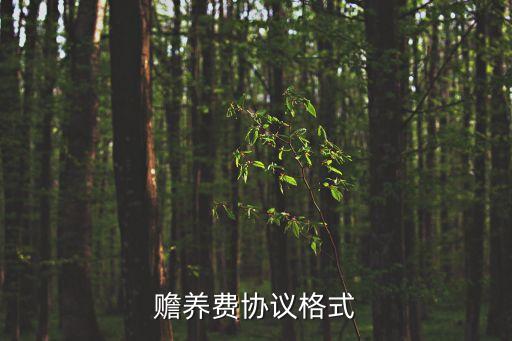贍養(yǎng)費協(xié)議格式