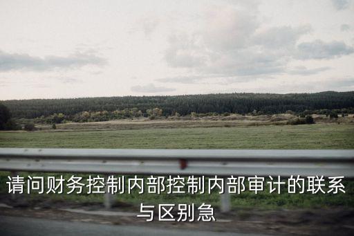 財(cái)務(wù)內(nèi)部控制，財(cái)務(wù)內(nèi)控制度的內(nèi)容
