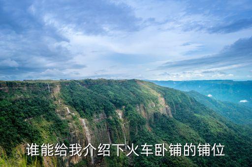 誰能給我介紹下火車臥鋪的鋪位