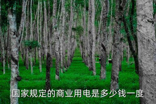 商業(yè)用電收費(fèi)標(biāo)準(zhǔn)，國(guó)家規(guī)定的商業(yè)用電是多少錢(qián)一度