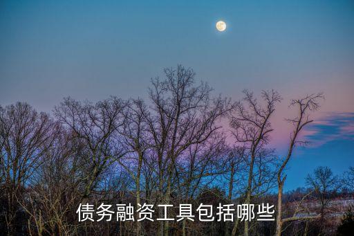 債務融資工具包括哪些
