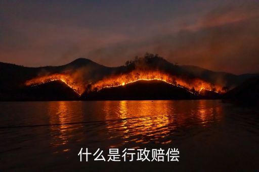 什么是行政賠償