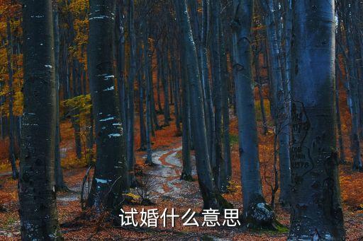 試婚什么意思