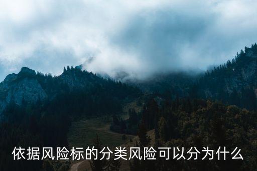 依據(jù)風險標的分類風險可以分為什么