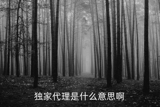 獨(dú)家代理，獨(dú)家代理的具體意思