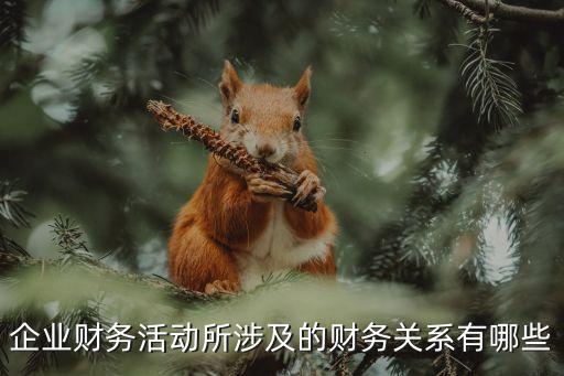 財(cái)務(wù)關(guān)系，財(cái)務(wù)關(guān)系是企業(yè)在組織財(cái)務(wù)活動(dòng)進(jìn)程中與有關(guān)個(gè)方面產(chǎn)生甚么關(guān)系  搜