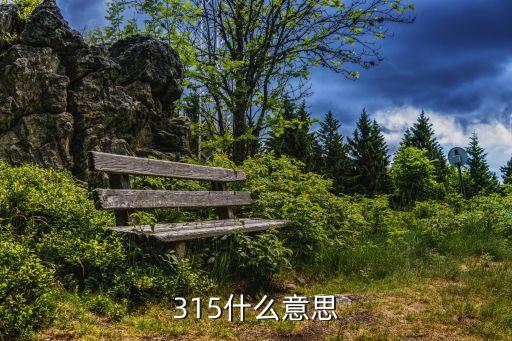 315什么意思