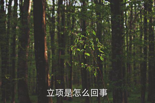 立項(xiàng)，大學(xué)科研立項(xiàng)是怎么回事
